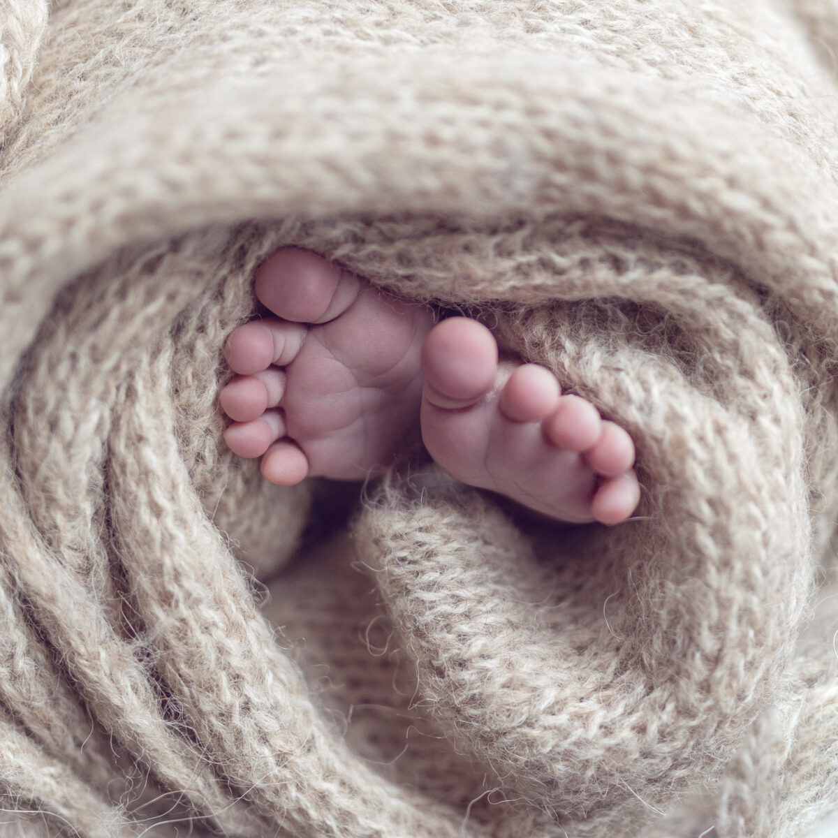 Newbornshoot Oosterhout NB