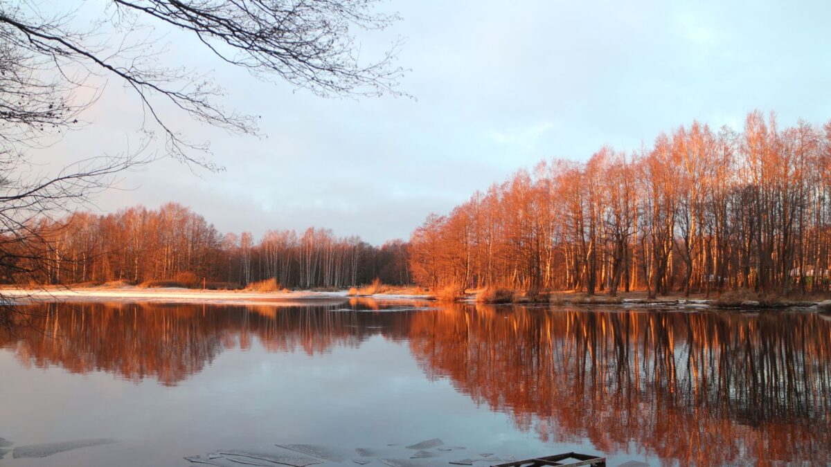 shoot gezin in de winter