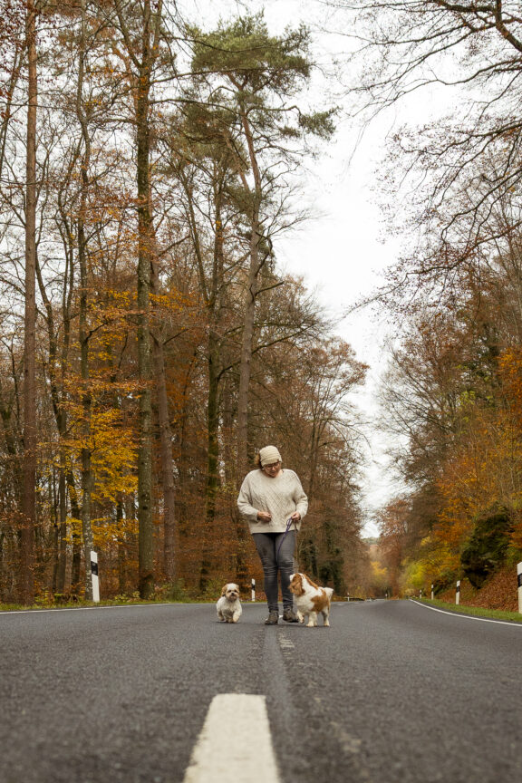 Fotoshoot met de hond, buitenland